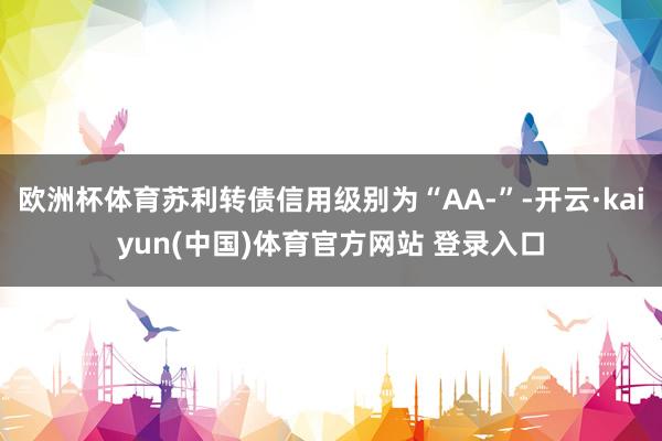 欧洲杯体育苏利转债信用级别为“AA-”-开云·kaiyun(中国)体育官方网站 登录入口